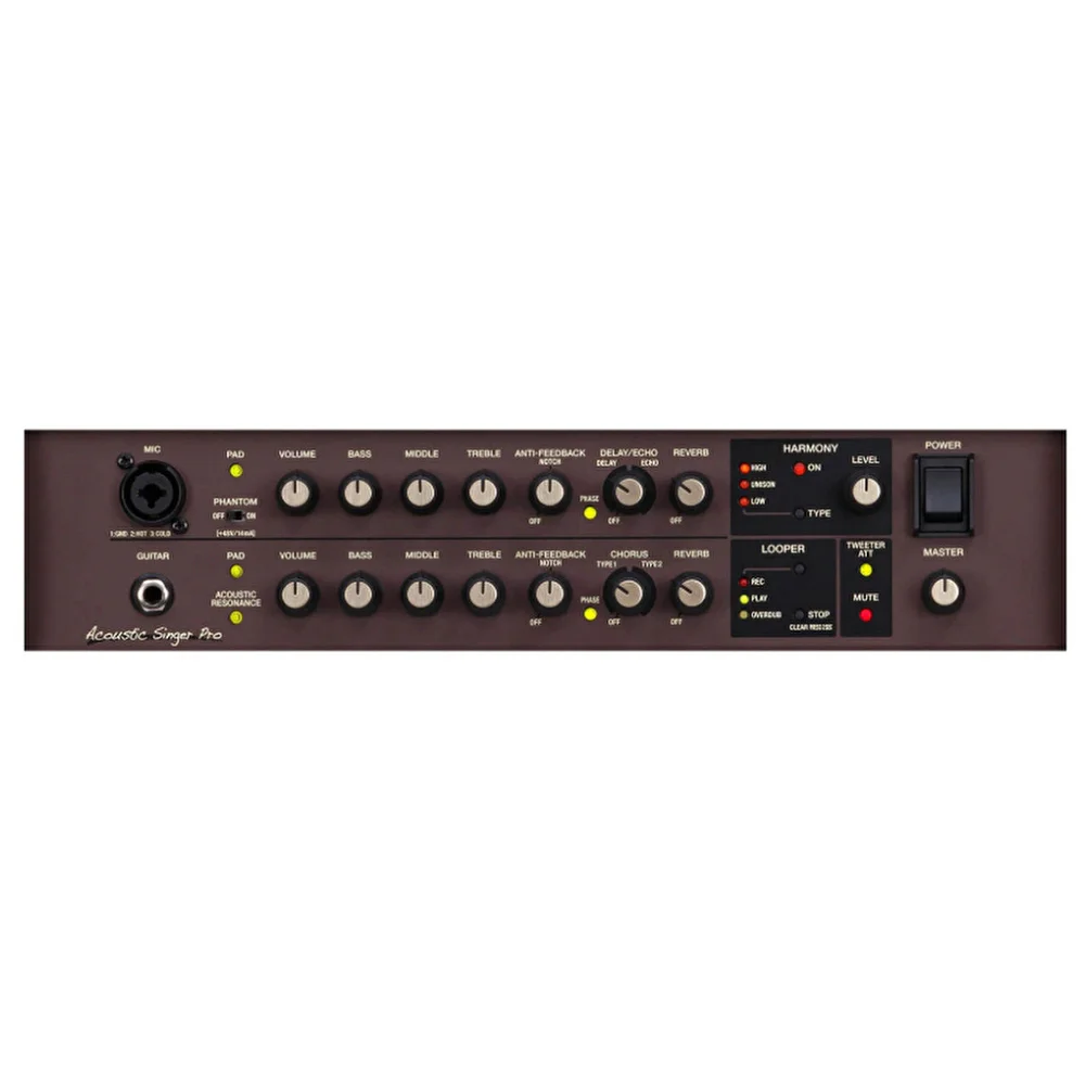 BOSS ACS-PRO Acoustic Singer Pro Amfi