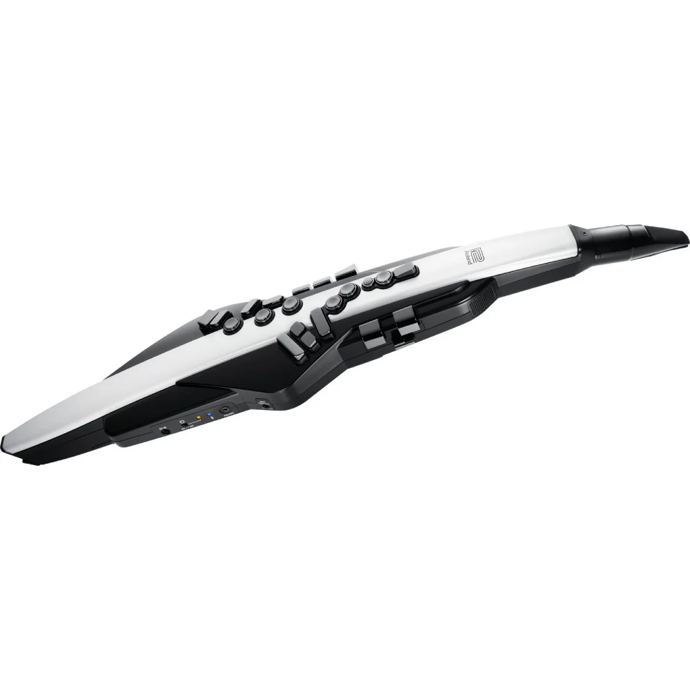 ROLAND AE-20 Aerophone Dijital Nefesli Enstrüman