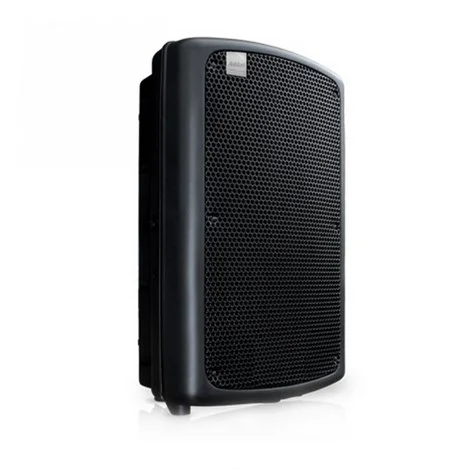 Ashton MAS12 12" Pasif Hoparlör, 600W prg 125-dB