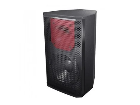 Audiocenter PL308 200W 8" Pasif Hoparlör Kabini