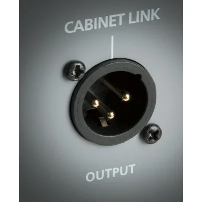 Blackstar Unity Bas U120 Kombo Bas Gitar Amfi