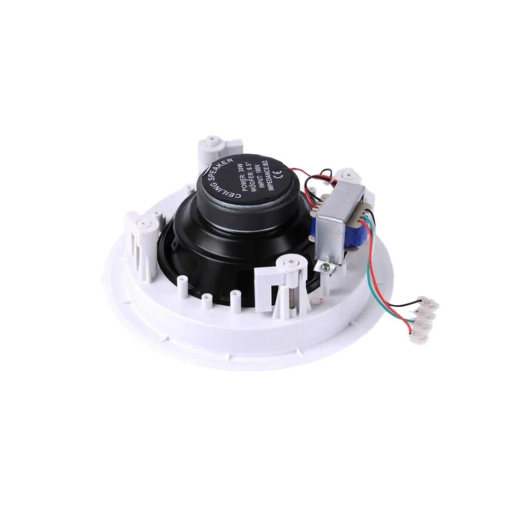 SSP CELL 306 6" Tavan Hoparlörü 2-yollu 30W/100V kademeli