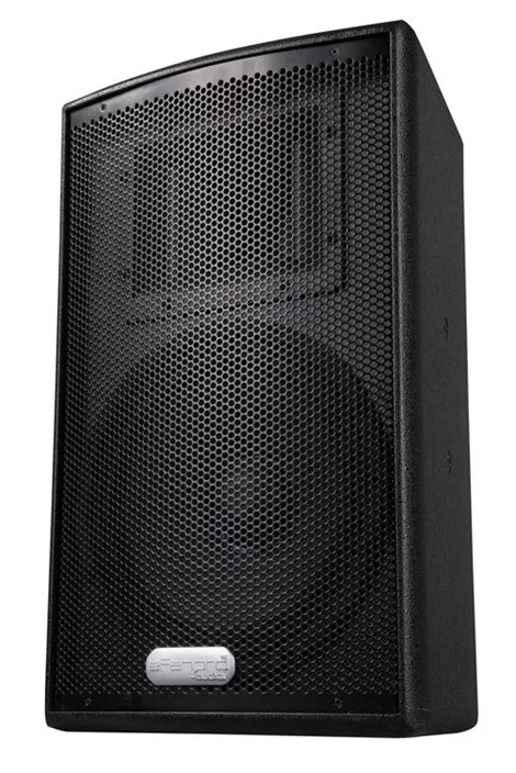 Efanpro M110 10" Duvar Hoparlörü, 2-yollu, 250W/8-ohm Rms