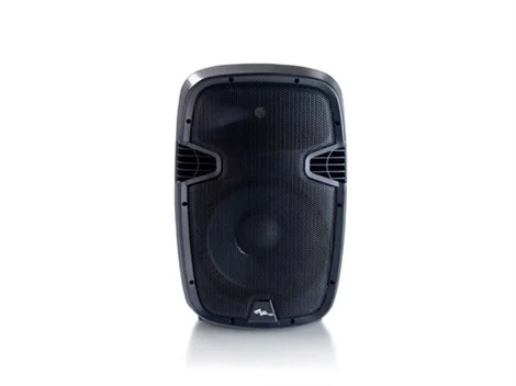 SSP JS12 12" 360W Pasif Hoparlör