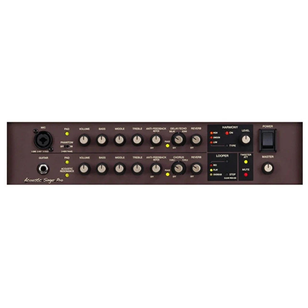 BOSS ACS-PRO Acoustic Singer Pro Amfi