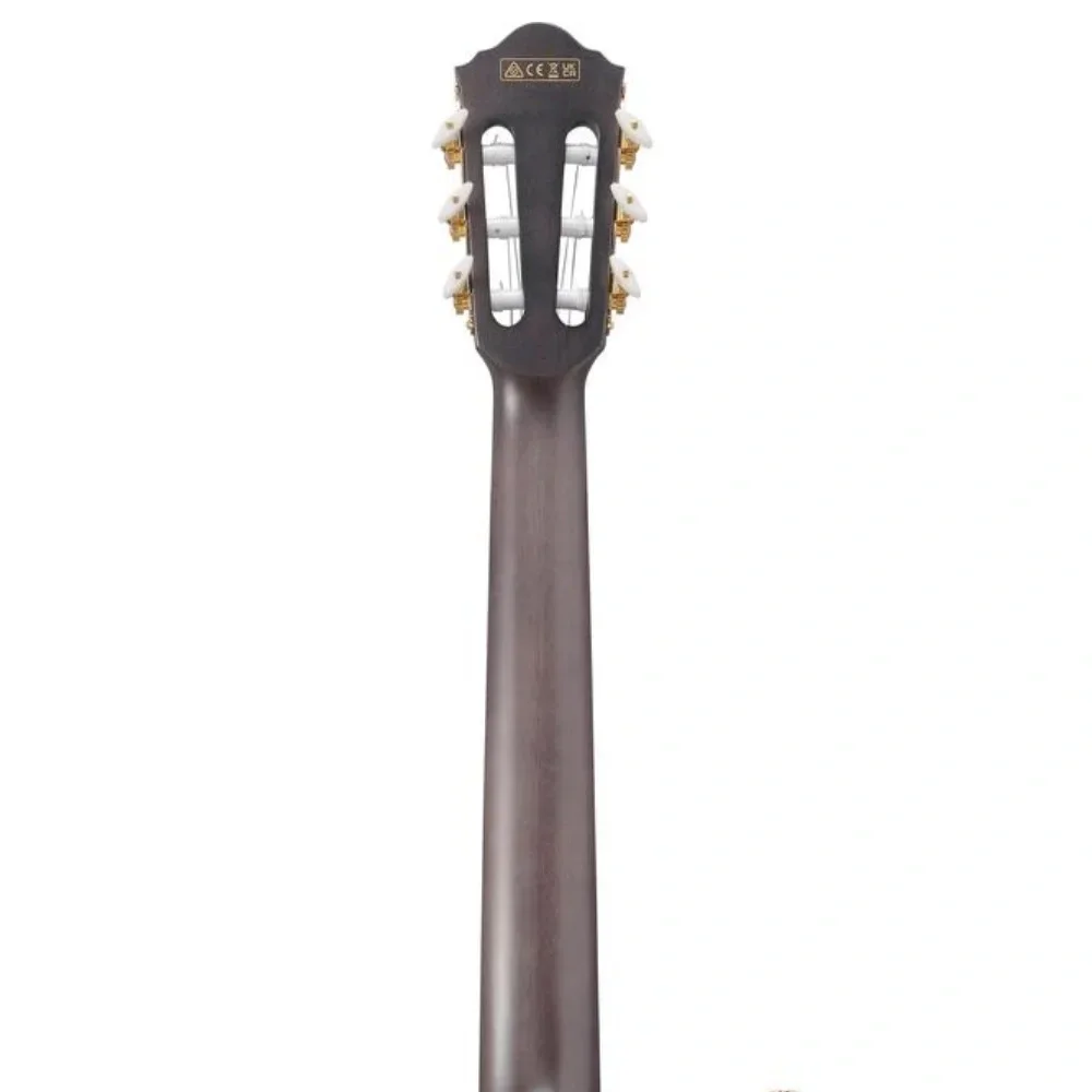 Ibanez FRH20FMN-DGL Elektro Gitar