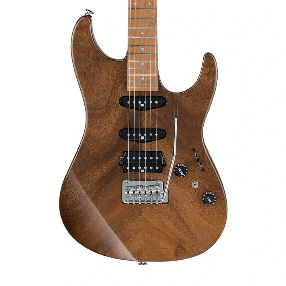 IBANEZ TQM1-NT Tom Quayle Signature Serisi Elektro Gitar