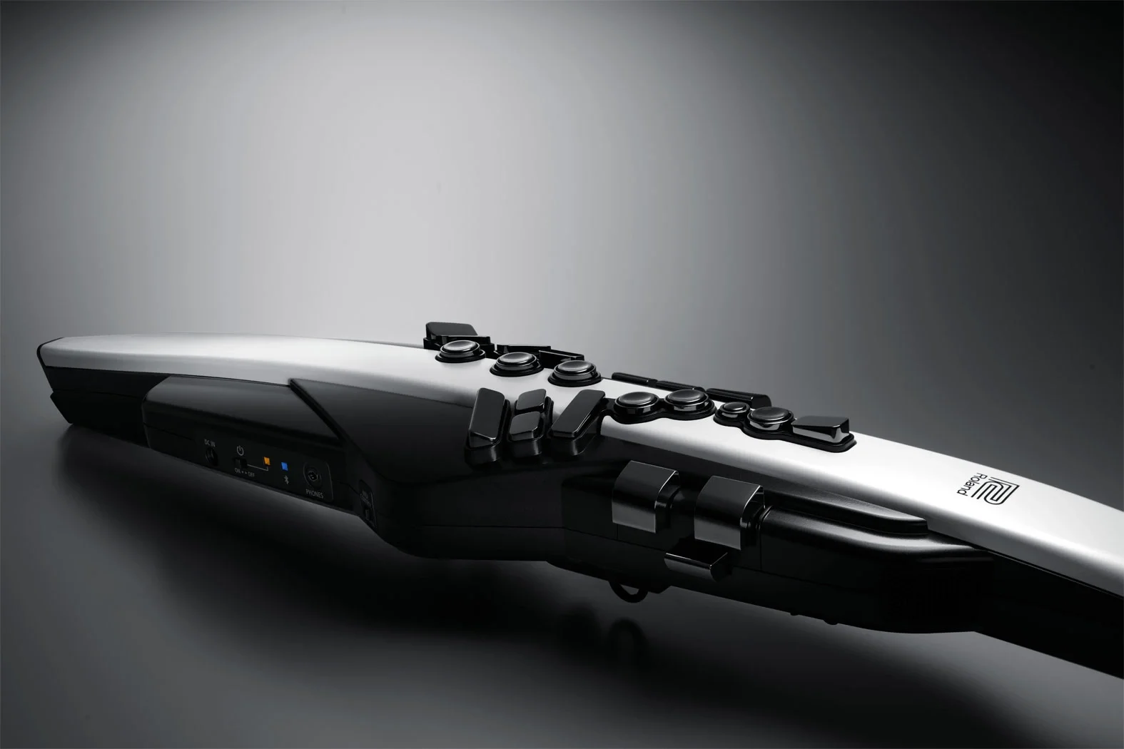 ROLAND AE-20 Aerophone Dijital Nefesli Enstrüman