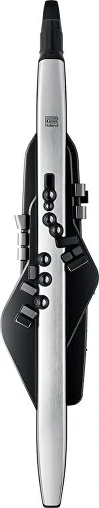 Roland AE-30 Aerophone Pro Dijital Nefesli Enstrüman