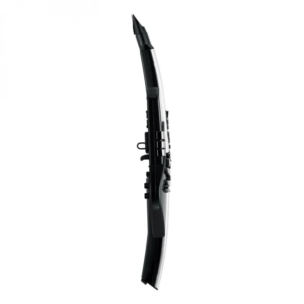 Roland AE-30 Aerophone Pro Dijital Nefesli Enstrüman