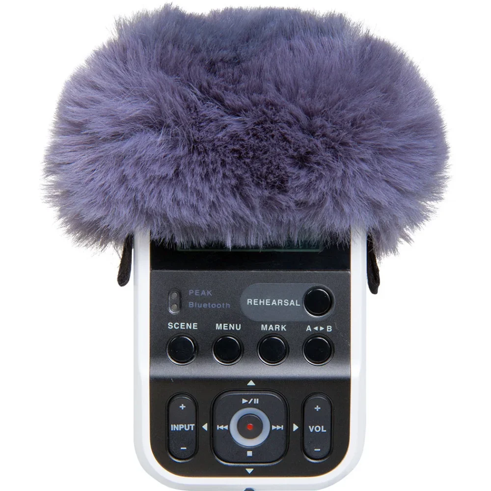 ROLAND R07-WS R-07 Gürültü Azatıcı